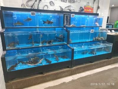 超市鱼缸制作视频：杭州鑫欣水族工程有限公司超市鱼缸制作视频上线 鱼缸百科 第1张