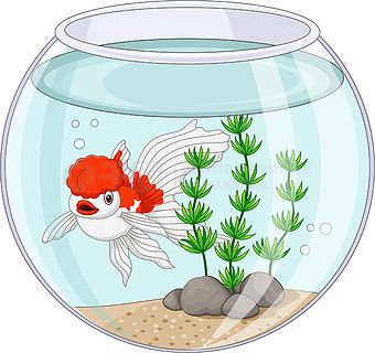 动画片鱼缸：鱼缸既有关联的电影也有动画片，也有相关的动画片 鱼缸 第3张