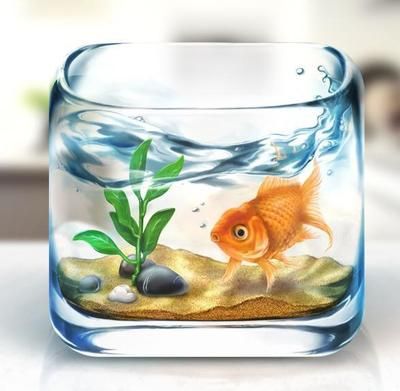 办公室鱼缸怎么摆放旺财风水：办公室鱼缸摆放的注意事项