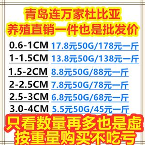 北京龙鱼批发市场营业时间表：北京龙鱼批发市场 龙鱼百科 第3张