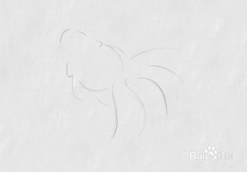 水墨金龙鱼画法：水墨金龙鱼画法步骤和注意事项水墨金龙鱼画法步骤
