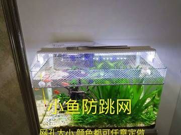 成品鱼缸品牌排行榜前十名 鱼缸百科 第1张