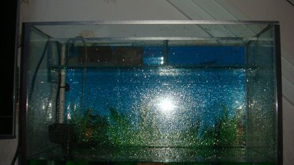 玻璃鱼缸爆缸原因：玻璃鱼缸爆缸原因及防范措施鱼缸爆缸的原因及防范措施 鱼缸百科 第3张