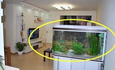 敞开式鱼缸屋里湿度大：敞开式鱼缸会增加室内湿度吗？ 鱼缸 第1张