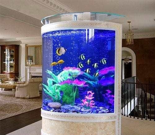 敞开式鱼缸屋里湿度大：敞开式鱼缸会增加室内湿度吗？ 鱼缸 第2张