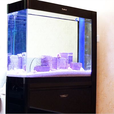 敞开式鱼缸屋里湿度大：敞开式鱼缸会增加室内湿度吗？