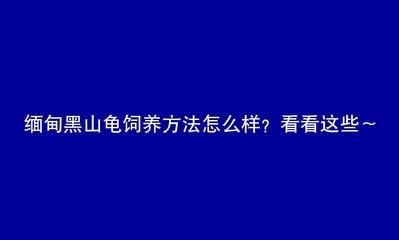 不用清理鱼缸的鱼叫什么龟：清洁鱼缸中的垃圾和废物，可以帮助清理鱼缸中的垃圾和废物 鱼缸百科 第3张