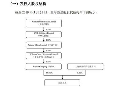 金龙鱼股权分配：金龙鱼的股权分派 龙鱼百科 第2张