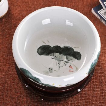 瓷器鱼缸适合养什么鱼：如何在陶瓷鱼缸中养鱼 鱼缸 第3张