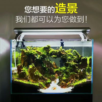 超白鱼缸造景：超白鱼缸造景是一项结合了美学、生态学、技术的工作 鱼缸百科 第3张