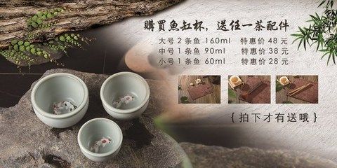 茶水倒入鱼缸里：倒入鱼缸里的茶水会对鱼的生长和健康产生不利影响 鱼缸百科 第1张