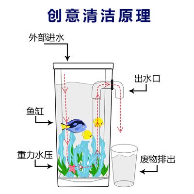 斗鱼缸如何换水：斗鱼缸养护全攻略 鱼缸百科 第4张