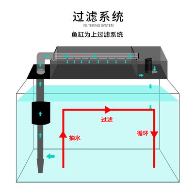 家庭鱼缸过滤系统图：家庭鱼缸过滤系统 鱼缸风水 第3张