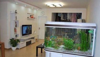 家里鱼缸放在什么位置最好：家里鱼缸放在家里什么位置最好