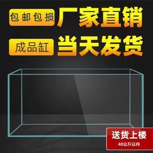 家用玻璃可以做鱼缸吗：自制鱼缸材料选择指南 鱼缸风水 第2张