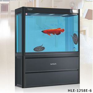 1米2宽50高50龙鱼缸：1米2宽50高50的龙鱼缸适合养龙鱼吗 鱼缸 第2张