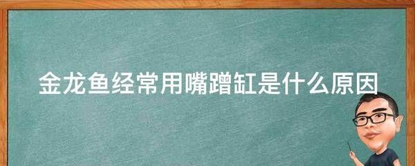 金龙鱼蹭缸是什么原因：金龙鱼蹭缸是什么原因引起金龙鱼蹭缸的行为可能由多种原因引起 龙鱼百科 第2张