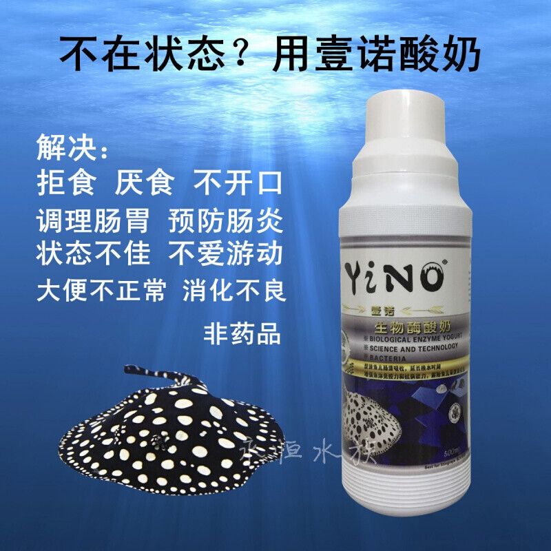 龙鱼放酸奶有副作用吗：给龙鱼喂食酸奶有副作用吗 龙鱼百科 第3张