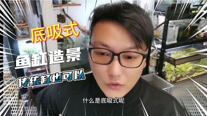 大鱼缸改造成水草缸好吗：如何改造大鱼缸成为水草缸 鱼缸百科 第1张