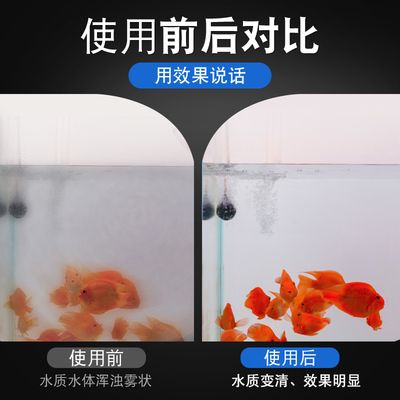 家庭用水族鱼缸怎么选择水质：如何选择适合自家的家庭用水族鱼缸 鱼缸风水 第1张