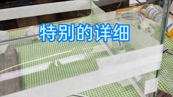 大铁桶做鱼缸：大铁桶可以改造成为一个鱼缸吗？