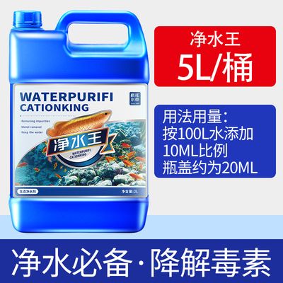 100l的鱼缸适合养什么鱼：100l的鱼缸适合在100l的鱼缸中饲养什么鱼 鱼缸百科 第1张