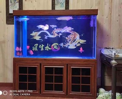 家庭鱼缸的高度多少适合？水族器材：家庭鱼缸的高度应该如何选择？