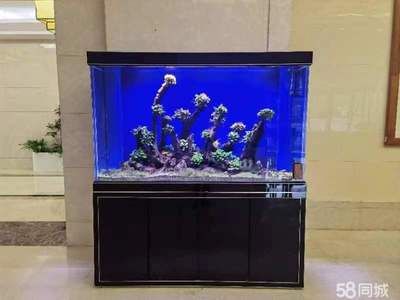 宠物用品鱼缸水族箱怎么用的啊