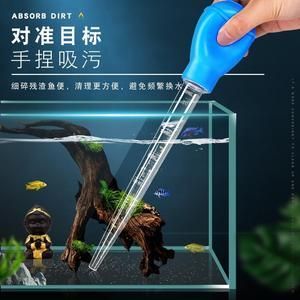 大鱼缸怎样换水最好：大鱼缸换水注意事项和注意事项可以帮助你更好地给大鱼缸换水 鱼缸百科 第2张