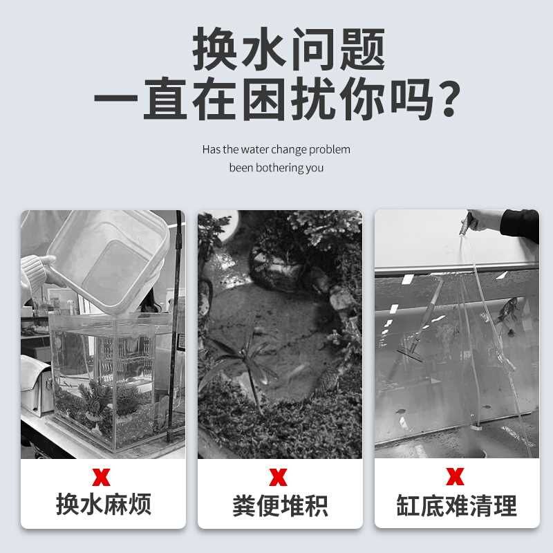 大鱼缸怎样换水最好：大鱼缸换水注意事项和注意事项可以帮助你更好地给大鱼缸换水