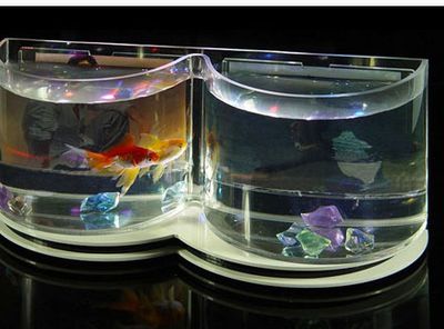玻璃和亚克力鱼缸：亚克力鱼缸和玻璃鱼缸的优缺点