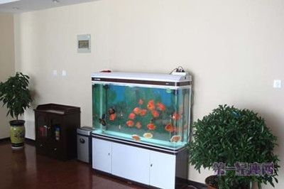 家庭鱼缸摆放什么位置可以：家庭鱼缸最佳摆放位置