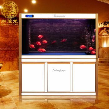 家庭鱼缸哪个品牌好一点：如何选择家庭鱼缸 鱼缸风水 第3张