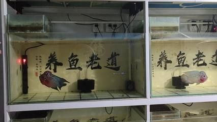 家里的鱼缸突然漏水预示着什么 鱼缸风水 第3张