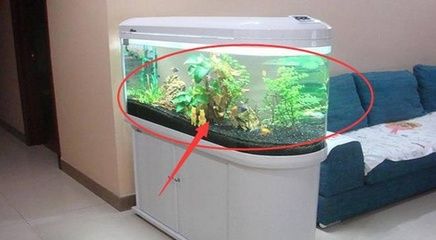 摆放空鱼缸好吗：空鱼缸摆放的注意事项鱼缸摆放的注意事项鱼缸摆放位置