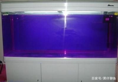 玻璃胶放鱼缸里有毒吗：如何正确使用玻璃胶