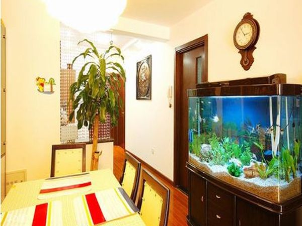 家里鱼缸放哪个位置：家里鱼缸摆放位置在不同文化中被赋予不同的象征意义