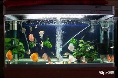 家庭用水族鱼缸怎么选好的：如何选择一个好的家庭用水族鱼缸 鱼缸风水 第2张