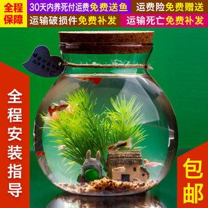 斗鱼缸可以造景吗：斗鱼缸造景指南：如何选择合适的造景材料在斗鱼缸造景中 鱼缸百科 第1张