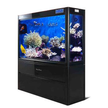 家庭用水族鱼缸哪个品牌最好最安全的：家庭用水族鱼缸品牌推荐 鱼缸风水 第3张