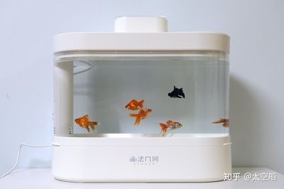 超白小鱼缸哪个品牌好用又实惠：超白小鱼缸品牌排行榜森森水族箱入选十大超白鱼缸产品排行榜 鱼缸百科 第2张