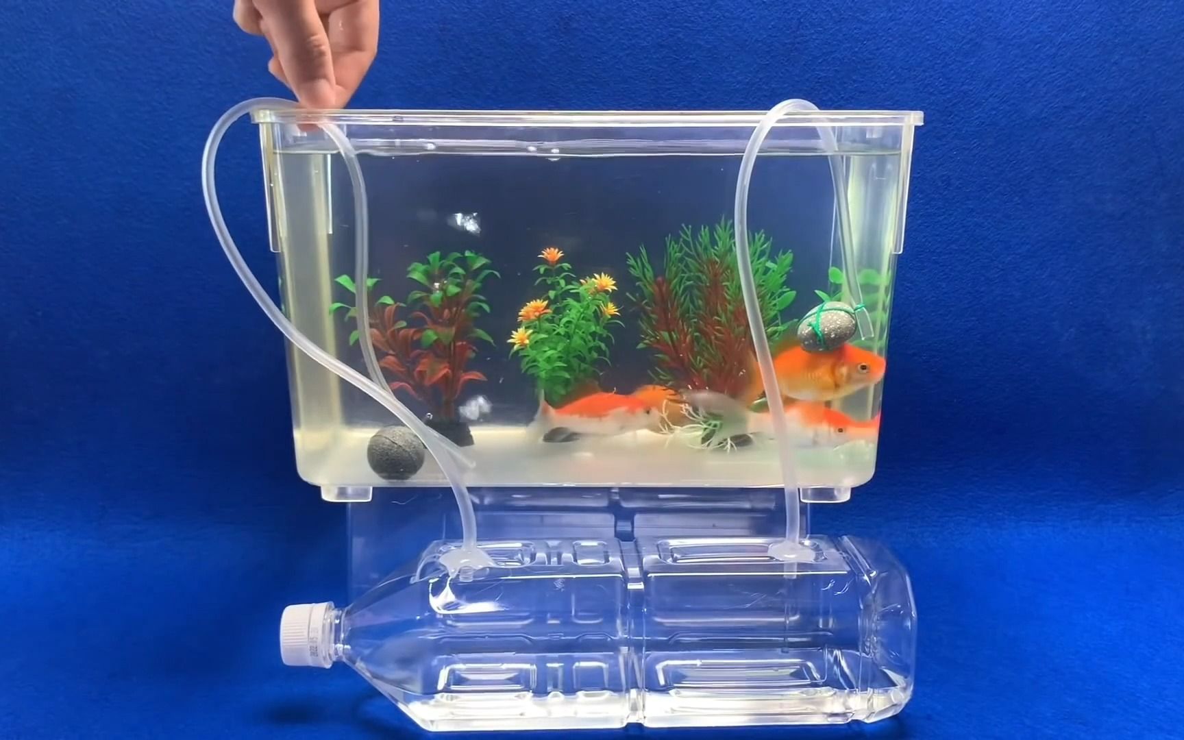 家用鱼缸增氧机怎么安装：家用鱼缸增氧机安装方法 鱼缸风水 第1张