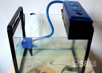 家用鱼缸增氧机怎么安装：家用鱼缸增氧机安装方法 鱼缸风水 第2张