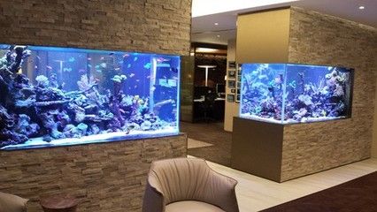 家庭鱼缸哪个品牌好：如何选择家用水族器材