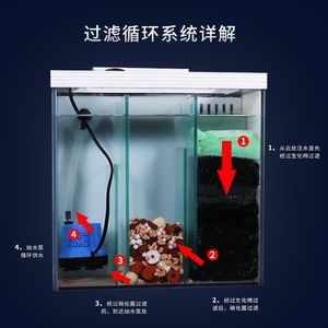 家用海水鱼缸：海水与淡水鱼缸在饲养方法和水质管理上有显著的不同 鱼缸风水 第3张