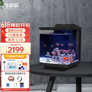 家用海水鱼缸：海水与淡水鱼缸在饲养方法和水质管理上有显著的不同 鱼缸风水 第2张