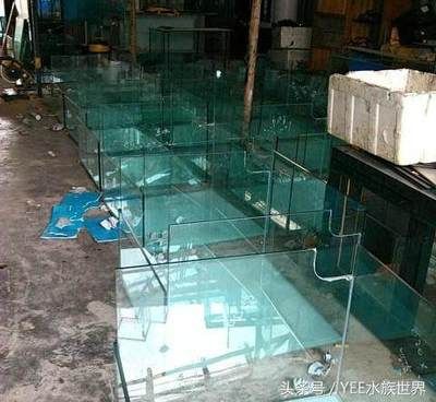玻璃鱼缸用什么胶好：玻璃鱼缸用什么胶好粘接玻璃鱼缸品牌推荐