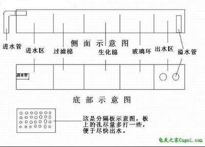 家用自制鱼缸过滤器：自制家用鱼缸过滤器 鱼缸风水 第1张