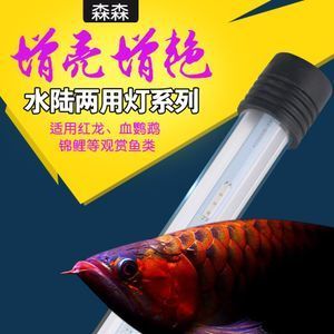 家用led灯可以用鱼缸上吗