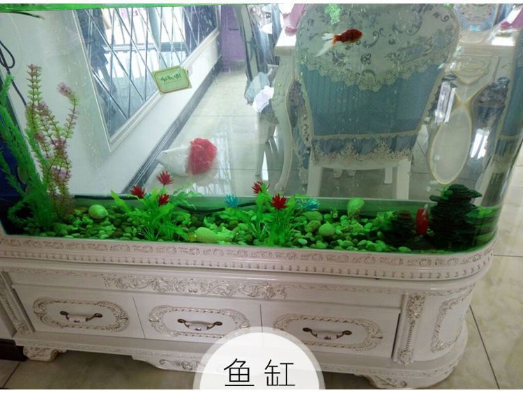 家里鱼缸可以放石头吗：如何选择适合鱼缸的石头